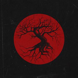 张婉莹全部mv在线观看
