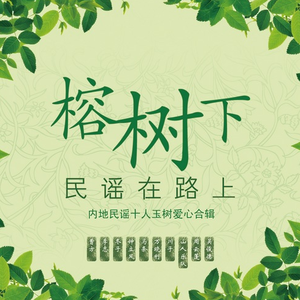 张婉莹全部mv在线观看
