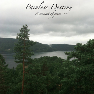 张婉莹全部mv在线观看
